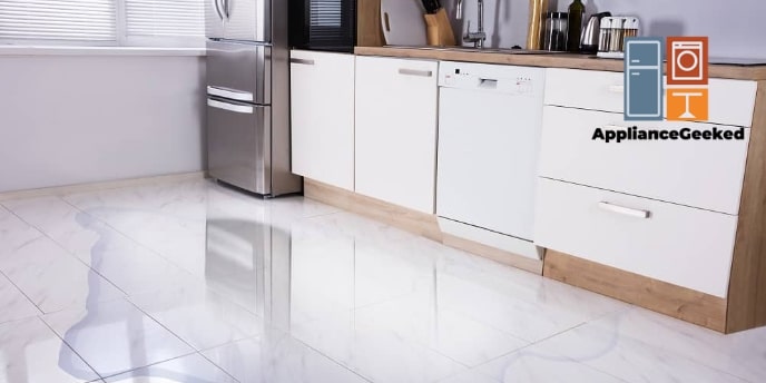 Why Is Your Samsung Dishwasher Leaking