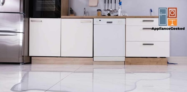 Why Your Dishwasher Leaks with Water When Not in Use