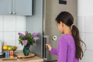 Why Your Samsung Refrigerator Display is Blinking